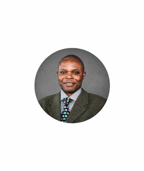 Professor Denis Kalumba (Chairperson)